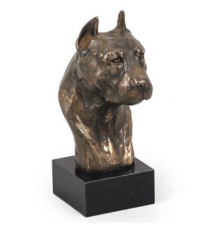 Amerykański Staffordshire terrier głowa na kamieniu Art-Dog